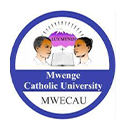Mwenge Catholic University